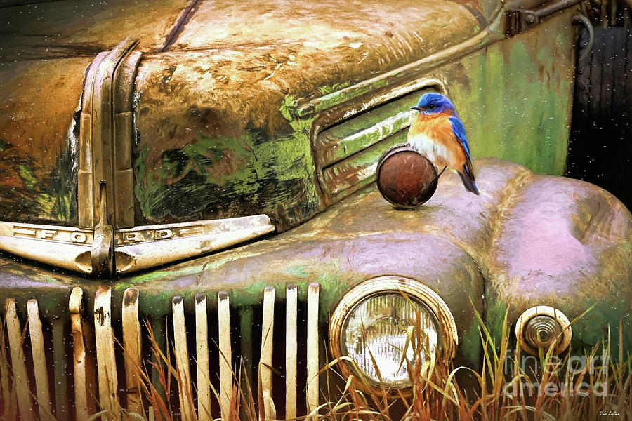 Bluebird Painting - Perched On The Old Ford by Tina LeCour
