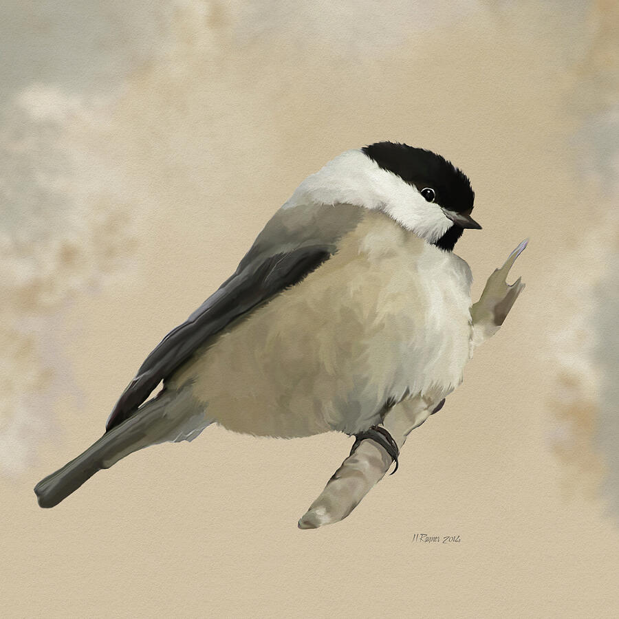Perched Willow Tit Digital Art by Bamalam Art Perched Willow Tit Digital Art by Bamalam Art