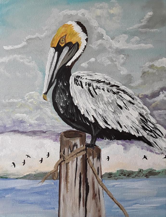 Perching Pelican Painting by Barbara Fincher