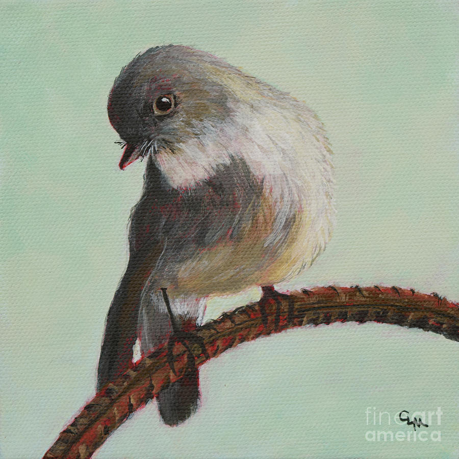 Perching Phoebe Painting by Cheryl McClure