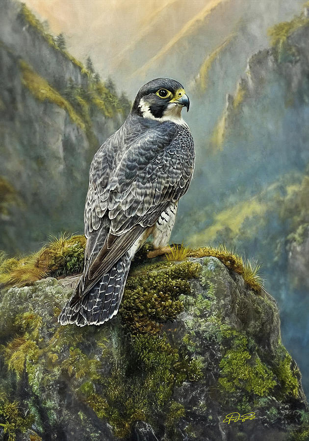 Peregrine Falcon Painting - Peregrine Falcon by Jurgen Doelle