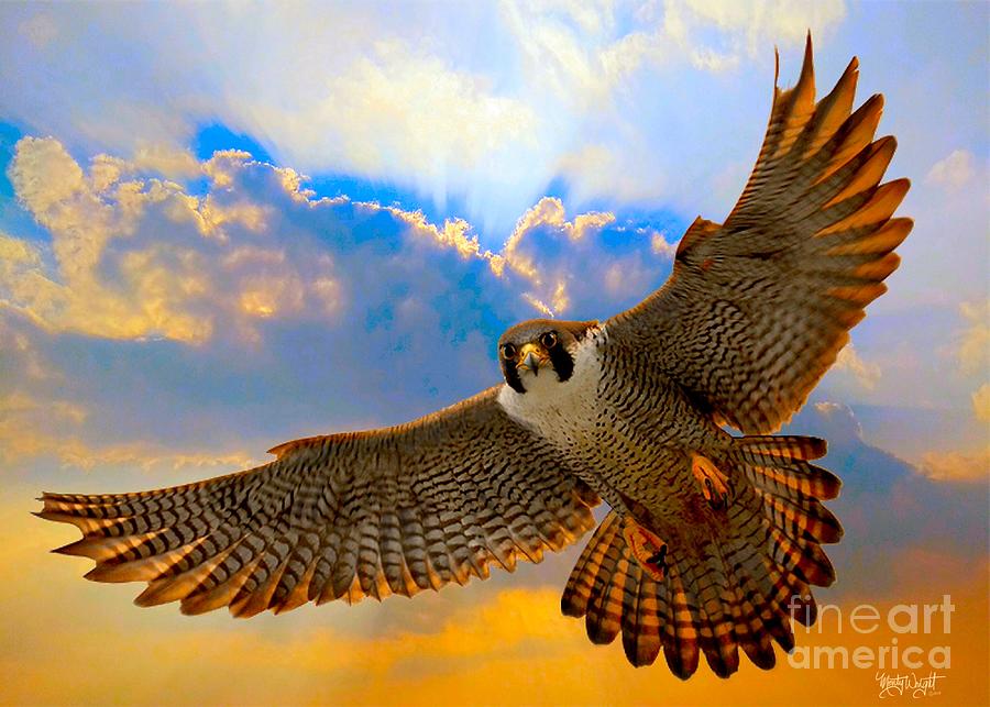 Peregrine Falcon Digital Art by Monty Wright