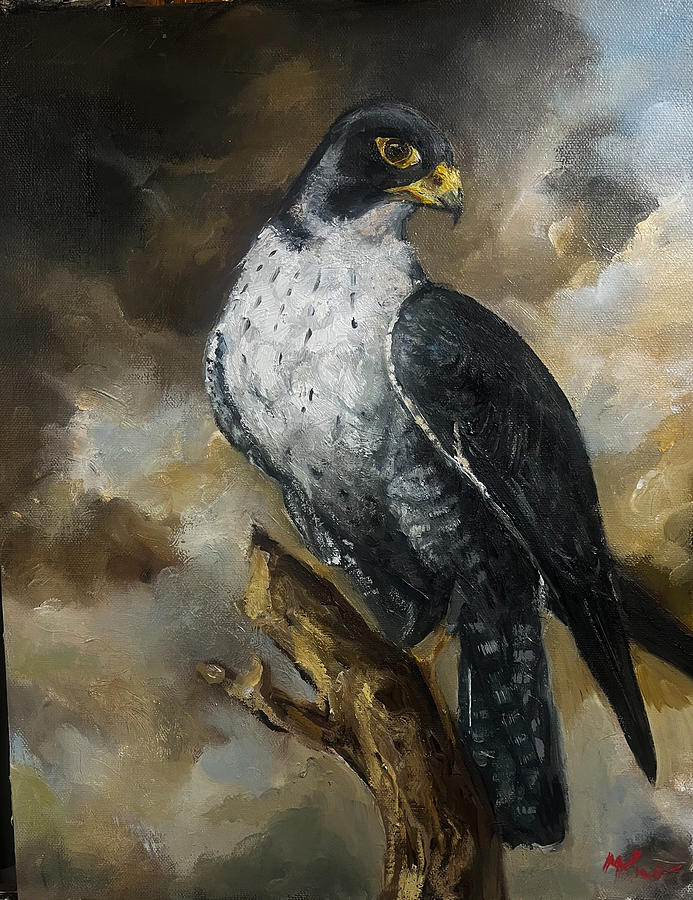 Peregrine  Painting by Margot King