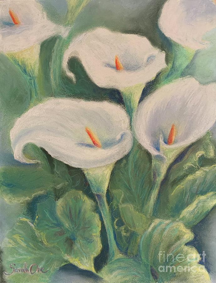 Flower Pastel - Perennial Bloom by Sarah Orre