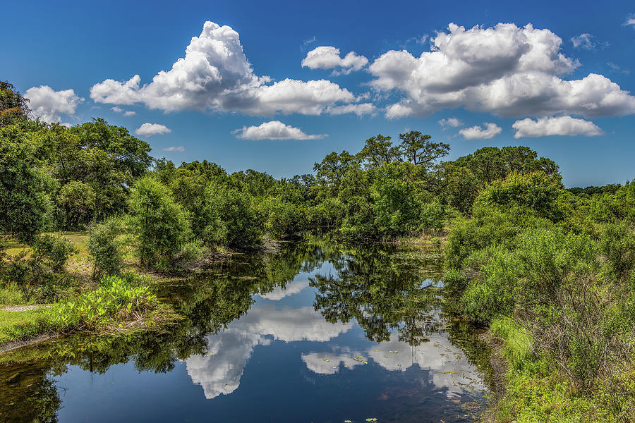 Perfect Day Photograph by Lisa Scott - Fine Art America