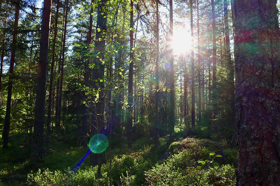 Evening Photograph - Perfect Ending by Maria Jansson Evening Photograph - Perfect Ending by Maria Jansson