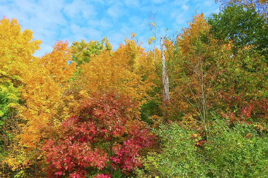 Perfect Fall Day Photograph by Linda Scarborough - Fine Art America