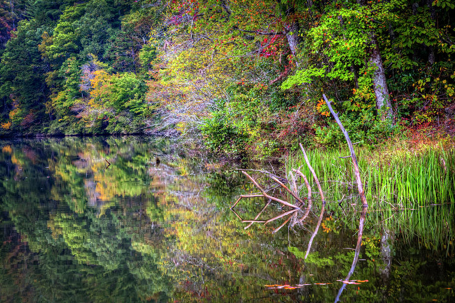 Perfect Fall Reflections  Photograph by Debra and Dave Vanderlaan