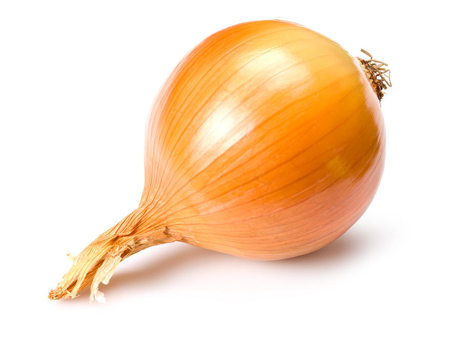 Perfect golden brown onion on a white background Photograph by Xxmmxx