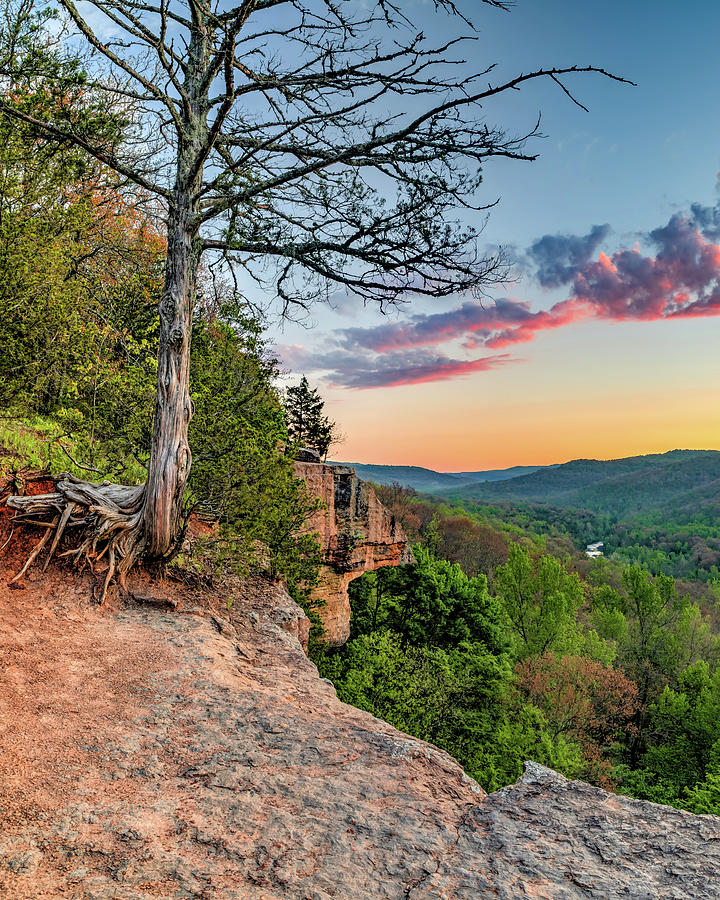 Perfect Morning Along The Yellow Rock Trail Photograph by Gregory Ballos