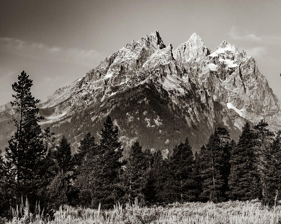 Perfect Peaks Of Grand Teton Mountain Range - Classic Sepia Photograph ...