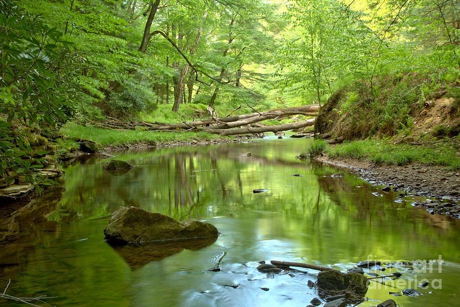 Perfect Reflections In Toms Run Photograph by Adam Jewell