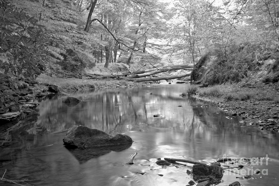 Perfect Reflections In Toms Run Black And White Photograph by Adam Jewell