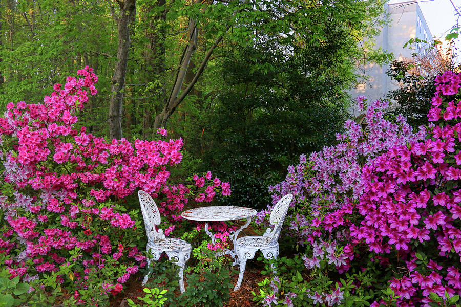 Perfect Spot for Springtime Dining  Photograph by Ola Allen