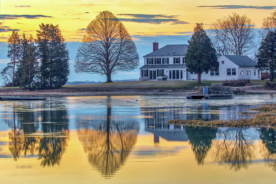 Perfect Tree Reflection in Duxbury Bay Massachusetts Photograph by Juergen Roth