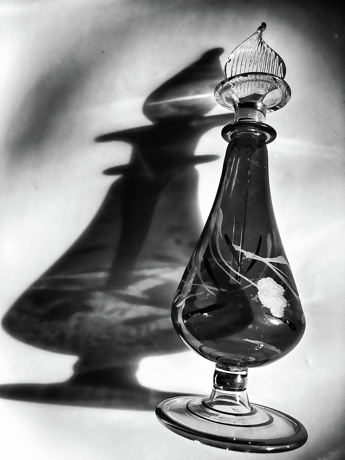 Perfume Bottle Abstract BW 020624 Photograph by Mary Bedy