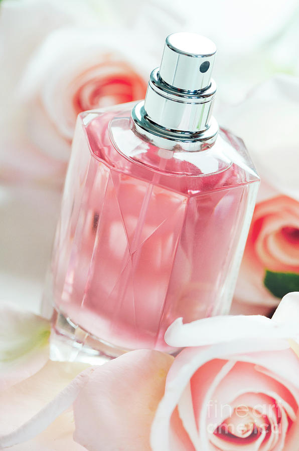 Perfume bottle and roses Photograph by Jelena Jovanovic