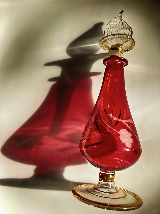Perfume Bottle Reflection 020624 Photograph by Mary Bedy
