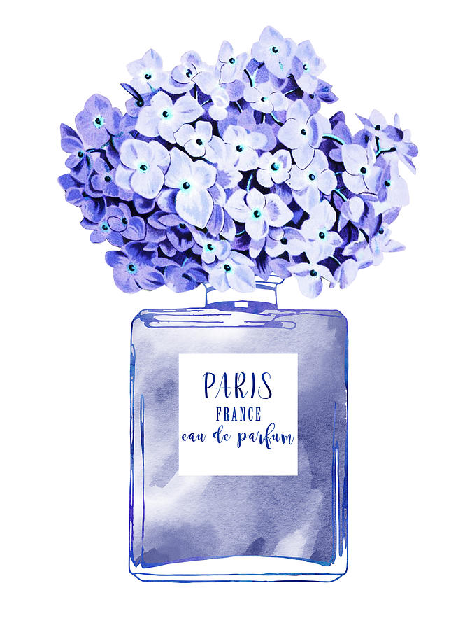 hydrangea perfume