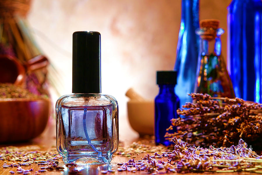 Perfume Bottle with Lavender Flowers in a Shop Photograph by Olivier Le Queinec