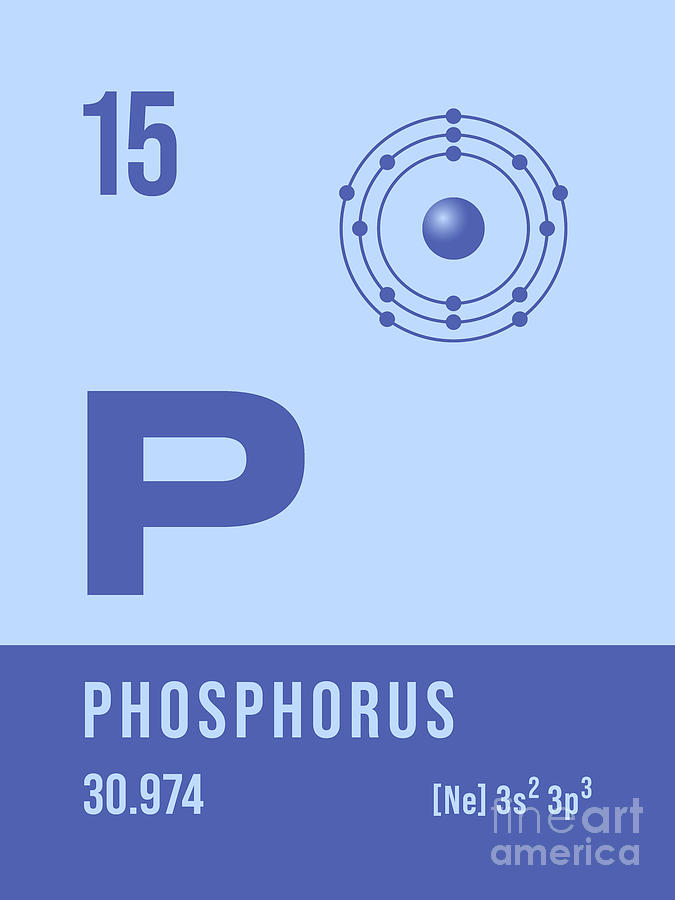 phosphorus element
