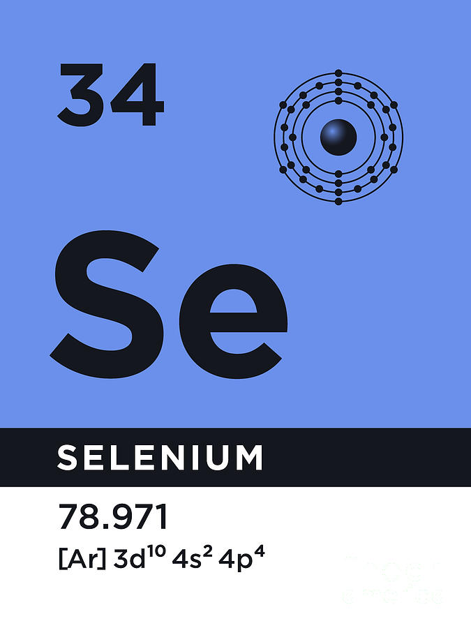 Shell Digital Art - Periodic Element B - 34 Selenium Se by Organic Synthesis