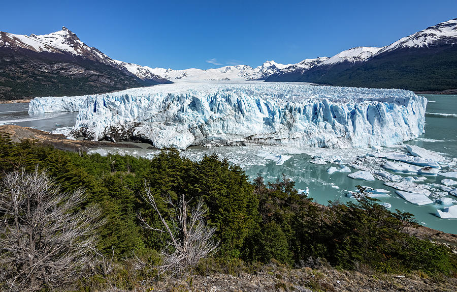 Perito Moreno Glacier - 1601 Photograph by Deidre Elzer-Lento