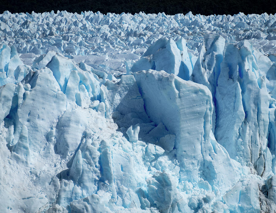 Perito Moreno Glacier A Photograph by Deidre Elzer-Lento