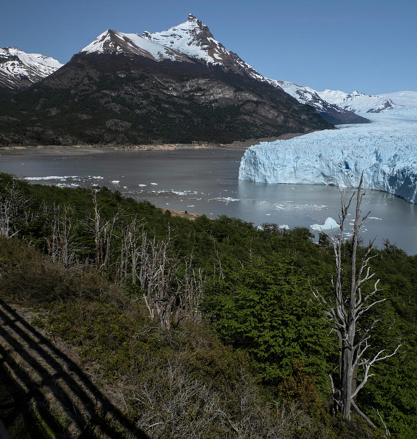 Perito Moreno Glacier A150402-1 Photograph by Deidre Elzer-Lento