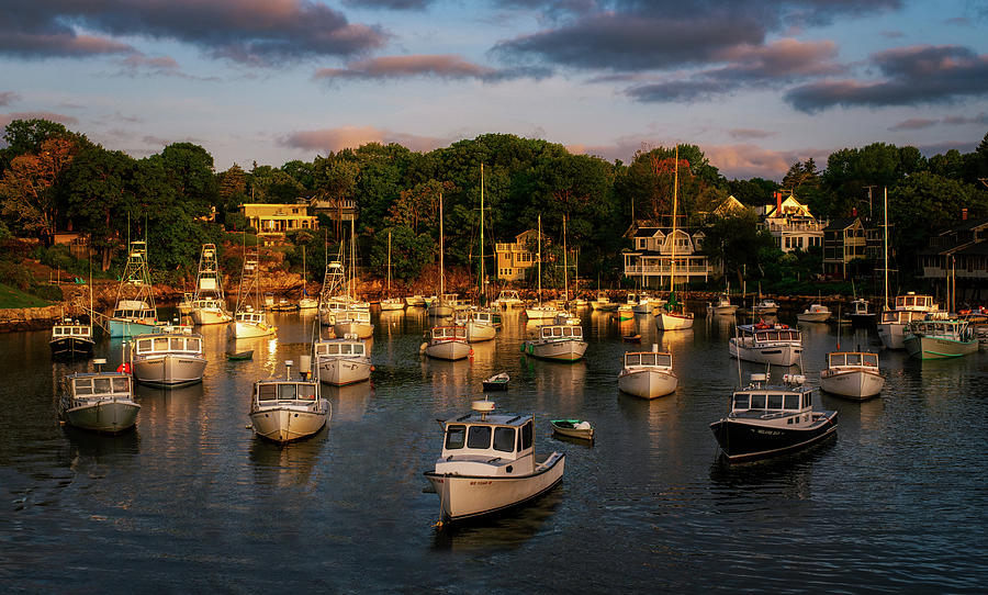 Perkins Cove Fleet Photograph by Jerry Fornarotto