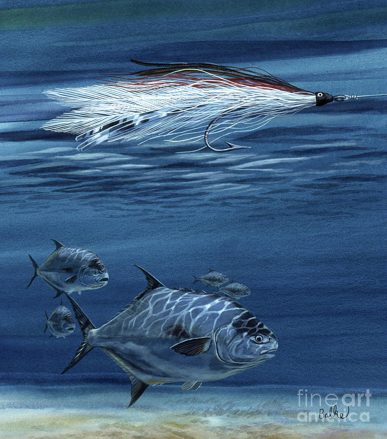 Permit Fish And Fishing Fly Painting by Don Balke