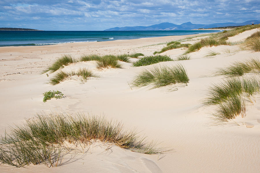 Peron Dunes. Tasmania Photograph by John White Photos