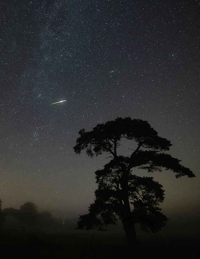 Perseid Meteor Photograph
