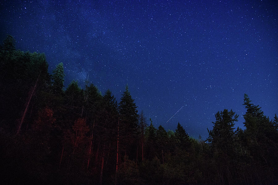 Perseid Meteor Shower Photograph by Kunal Mehra