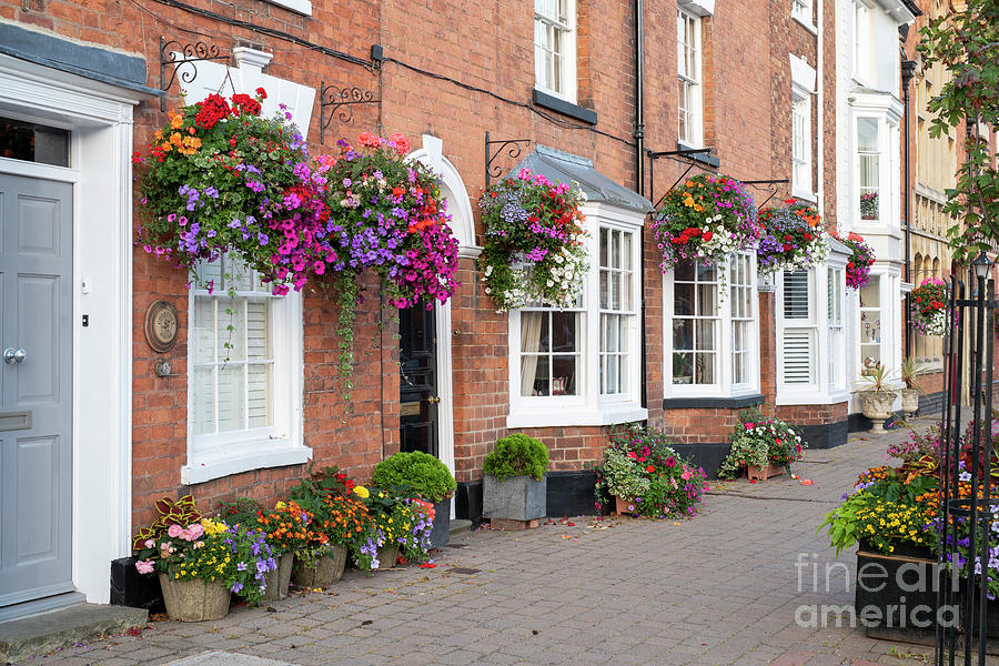 Pershore Floral Summer Display Photograph by Tim Gainey