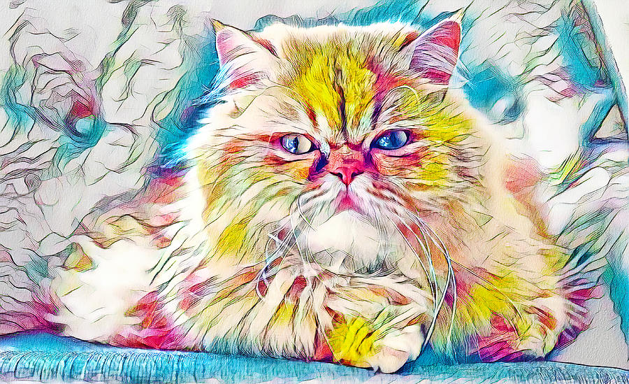 Persian cat looking at you - warm pastel colors Digital Art by Nicko Prints