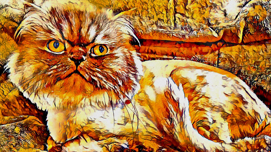Persian cat looking grumpy - brown high contrast Digital Art by Nicko Prints