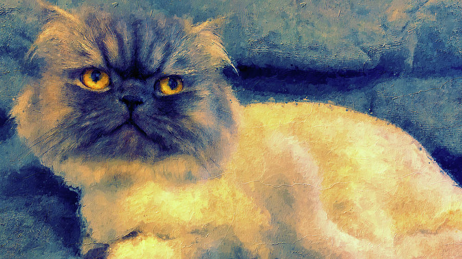 Persian cat looking grumpy - digital painting Digital Art by Nicko Prints