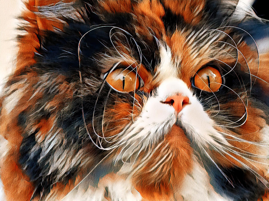 Persian cat with long whiskers close-up - white, black and brown digital painting Digital Art by Nicko Prints