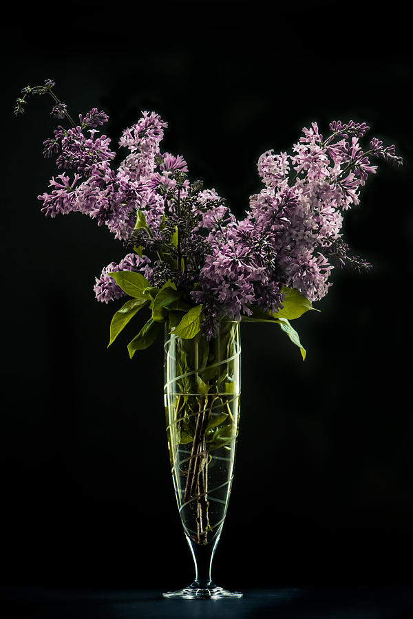 Still Life Photograph - Persian Lilacs on a Hot June Day by Maggie Terlecki