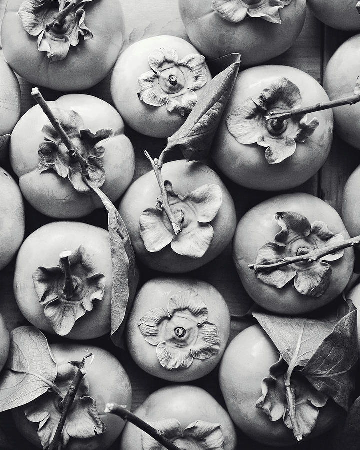 Persimmon Harvest Photograph by Lupen Grainne