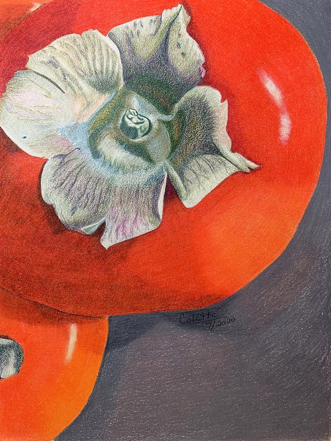 Still Life Drawing - Persimmons by Colette Lee