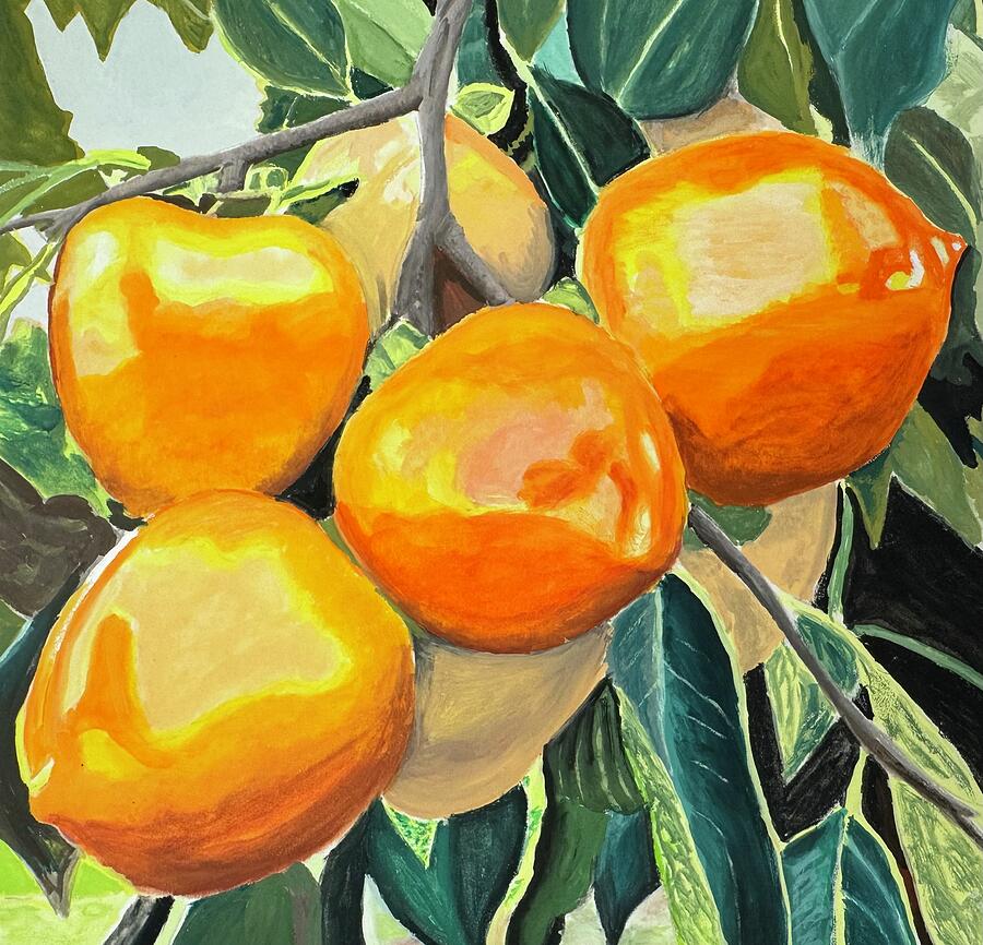 Persimmons Painting by Phyllis Weiss - Fine Art America