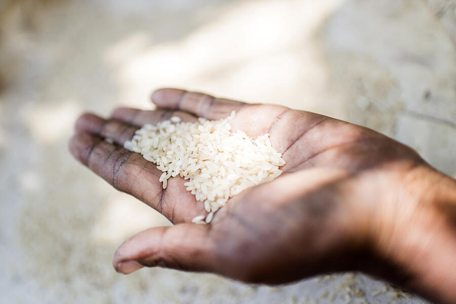 Person holding rice Photograph by Hans Neleman