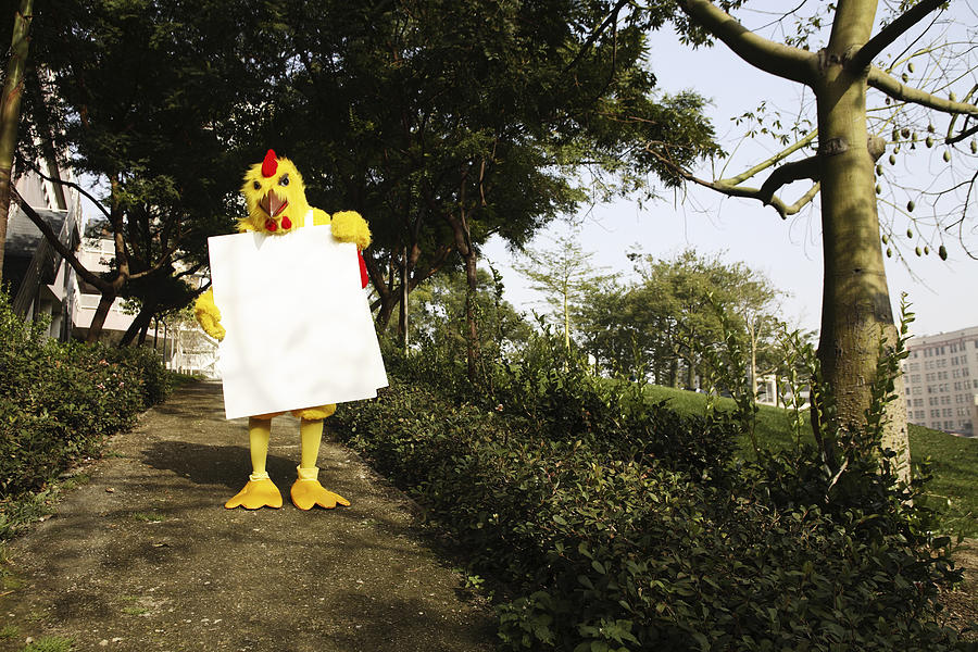 Person in chicken costume wearing signboard in forest Photograph by Eric Chuang