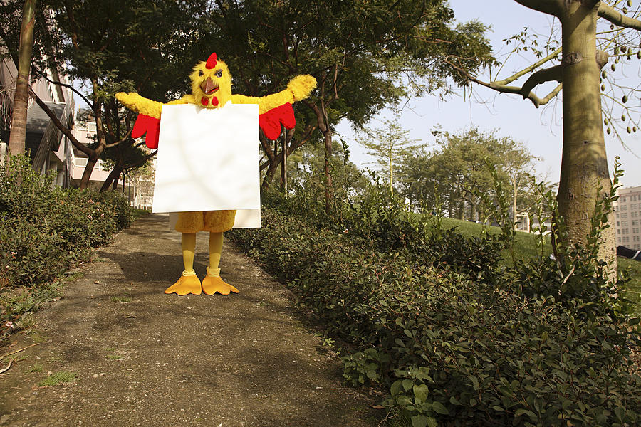 Person in chicken costume with blank sign Photograph by Eric Chuang