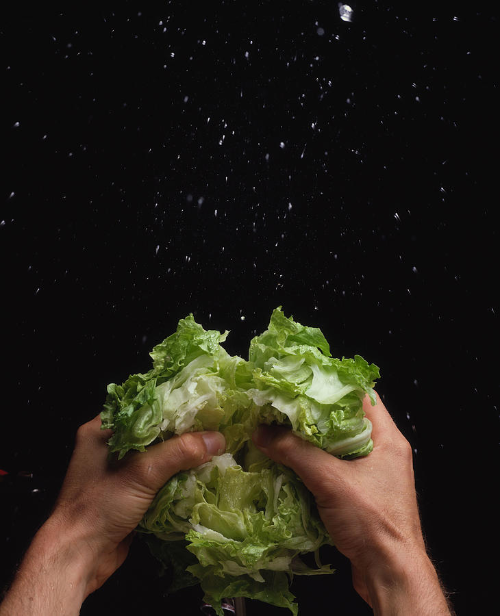 Person tearing iceberg lettuce Photograph by Jackson Vereen