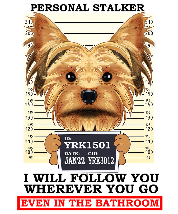 Personal Stalker Yorkshire Terrier Yorkie Digital Art by Maximus ...