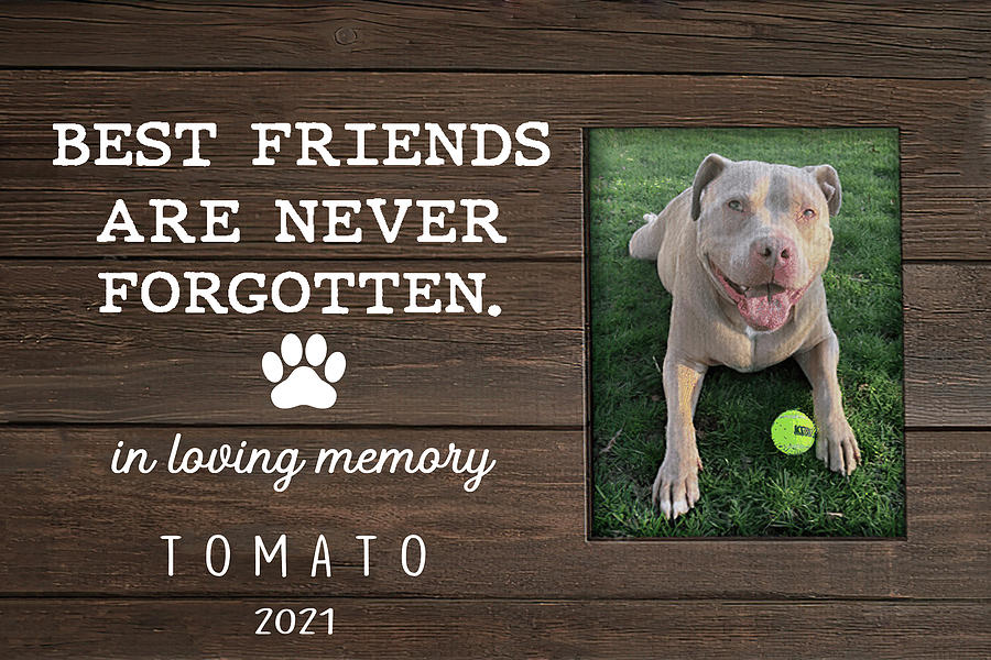 Wildlife Digital Art - Personalized Best Friends Are Never Forgotten Memorial Picture Canvas Poster by Julien