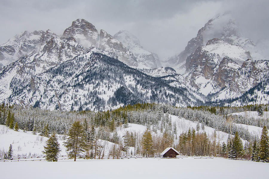 Perspective, Grand Tetons in Winter Photograph by Marcy Wielfaert